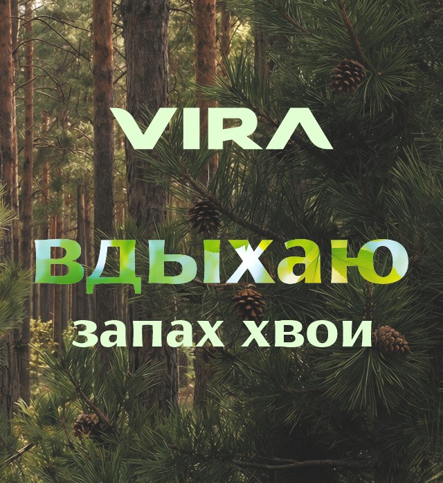Велнес-квартал у леса, где энергия природы — часть ваших будней